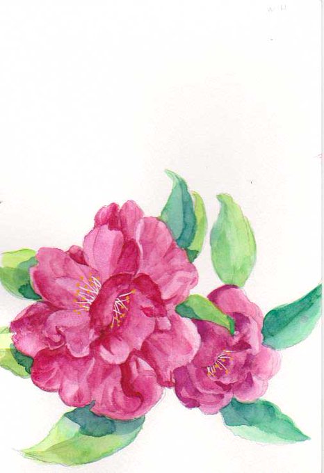 山茶花のtwitterイラスト検索結果 古い順