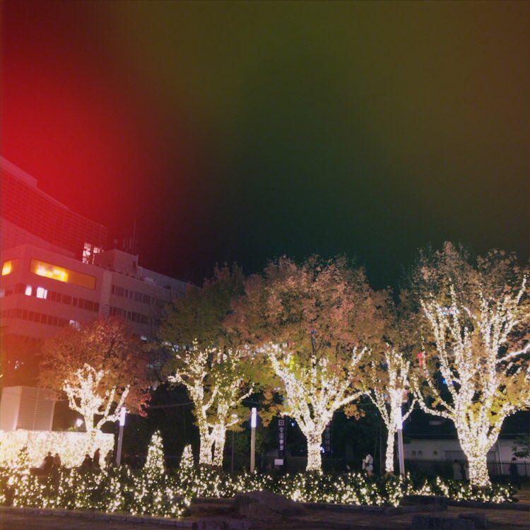 channanaFK's tweet photo. 今更ながら警固公のイルミネーション見れた🌟👼💡 https://t.co/MqBQnrkPvN