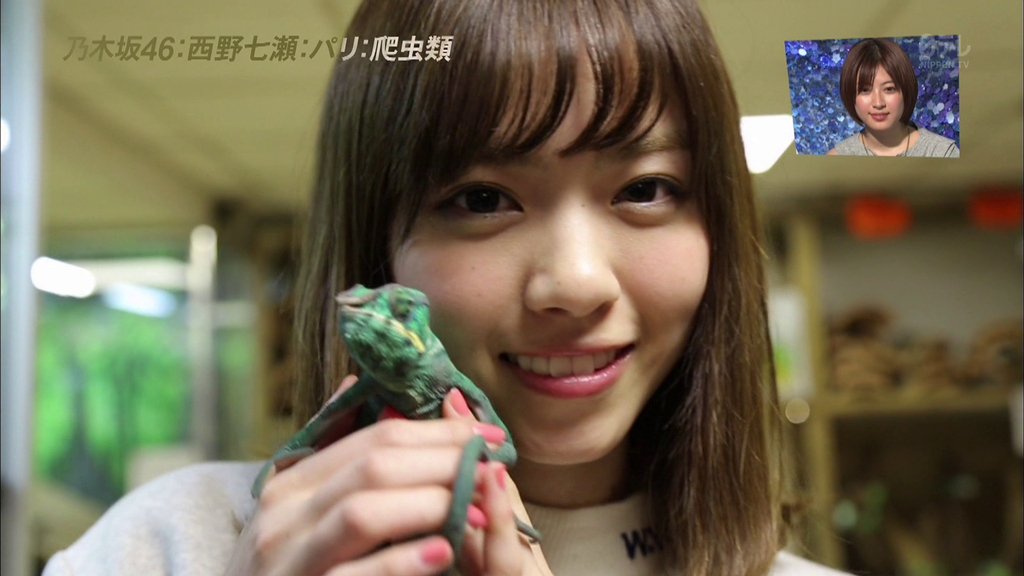 テク憧 西野七瀬と新垣結衣が同じ空間で爬虫類を愛でる姿を眺めてみたい