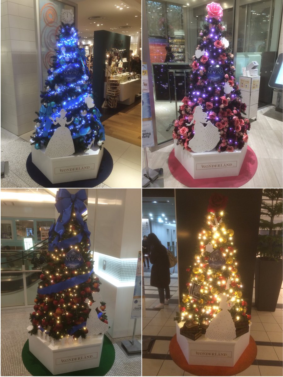 オーロラ スノウ