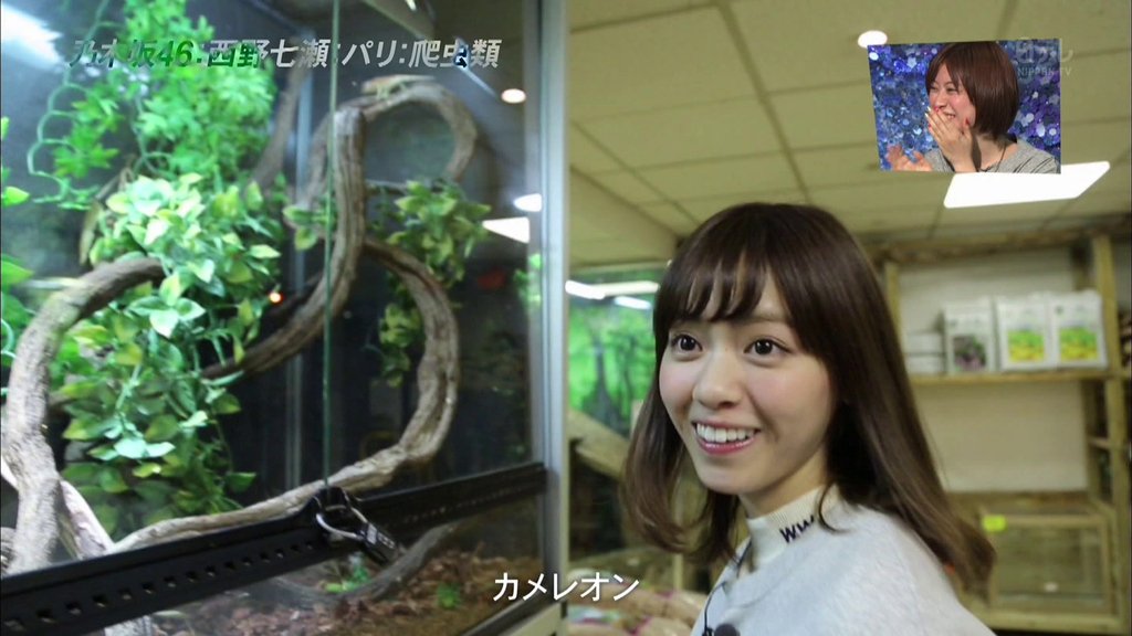 テク憧 Twitter પર 西野七瀬と新垣結衣が同じ空間で爬虫類を愛でる姿を眺めてみたい