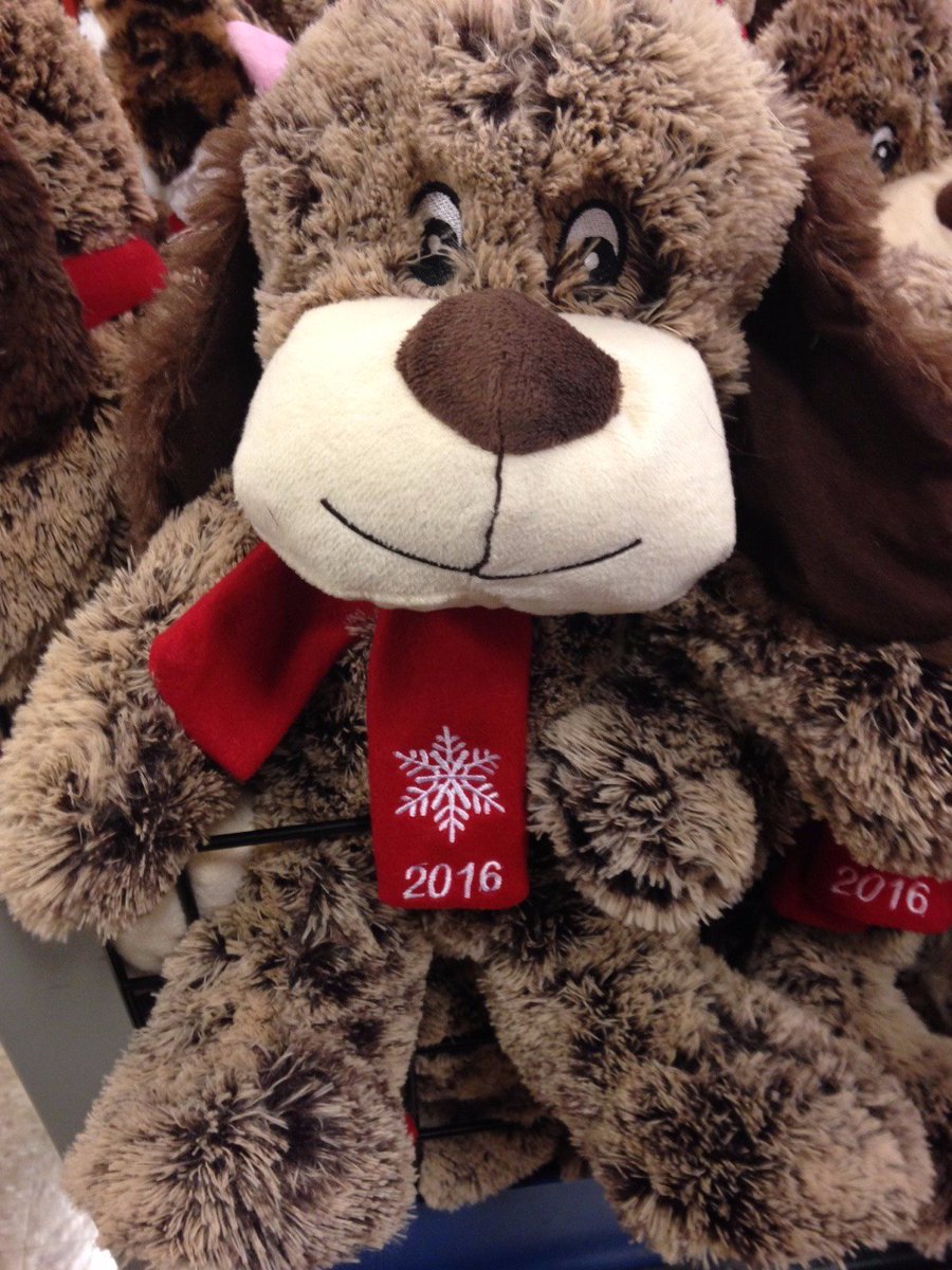 BGCofCCFL's tweet photo. Stop by @PetSmart #portcharlotte to adopt Chance and Lucky today! All stuffed animals will be donated to the youth of Charlotte County. https://t.co/f1jz2hAafm