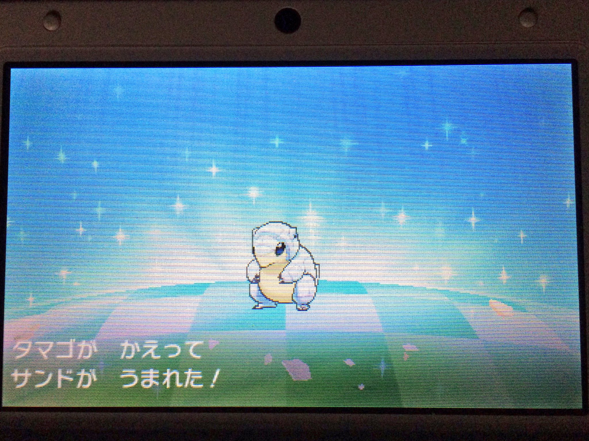すらいす サンムーンで進化の時や卵孵化 の時 リージョンフォルムがあるポケモンだと音楽が変わるんですね よりエキゾチックな感じです 更に卵孵化だと背景が夜に 細かいですねー ポケモン サンムーン すらいす サンムーンで進化の時や卵孵化 の時 リージョンフォルムがあるポケモンだと音楽が変わるんですね よりエキゾチックな感じです 更に卵孵化だと背景が夜に 細かいですねー ポケモン サンムーン