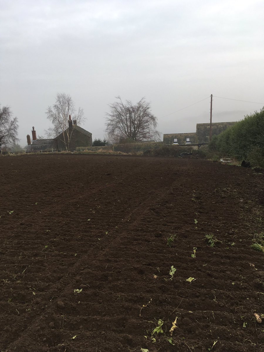 TheNurturedStem's tweet photo. A bit of land prep @TheNurturedStem @FarnleyEstate Looking forward #britishflowers  #huddersfield #grownnotflown #weddingflowers #yorkshire https://t.co/1pqQ1rY6R7