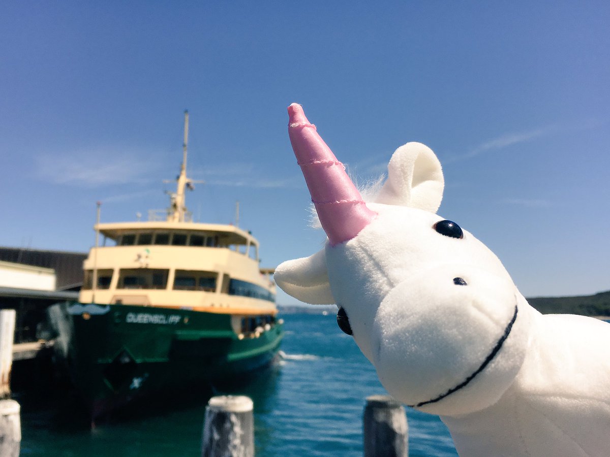 1angharad_rees's tweet photo. This Small Unicorn is having some HUGE Adventures!!
#kidlit #TravelTuesday #ilovesydney https://t.co/uQi4MkAyuh