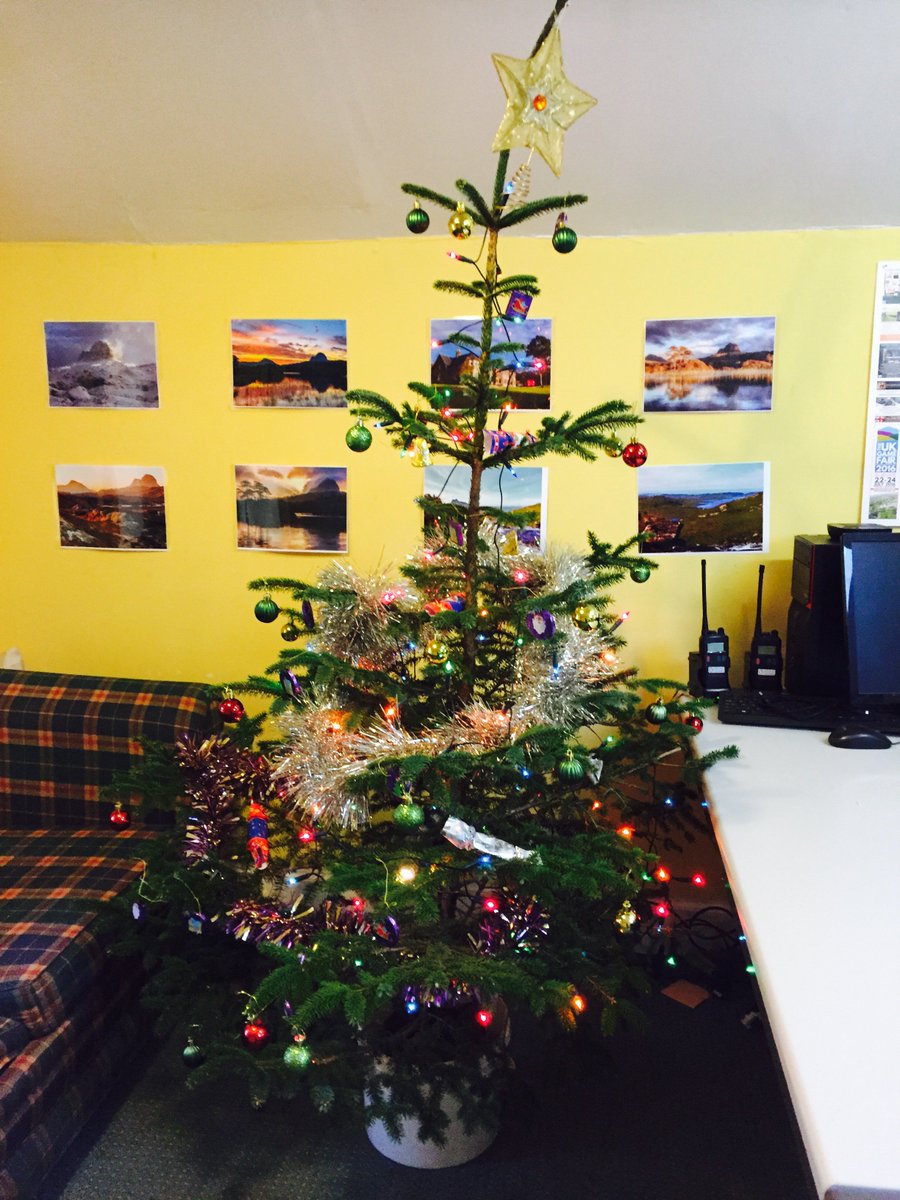 glencanisplodge's tweet image. Feeling festive in the office today ! Tree up, let the excitement begin #Christmas #tree #festiveseason