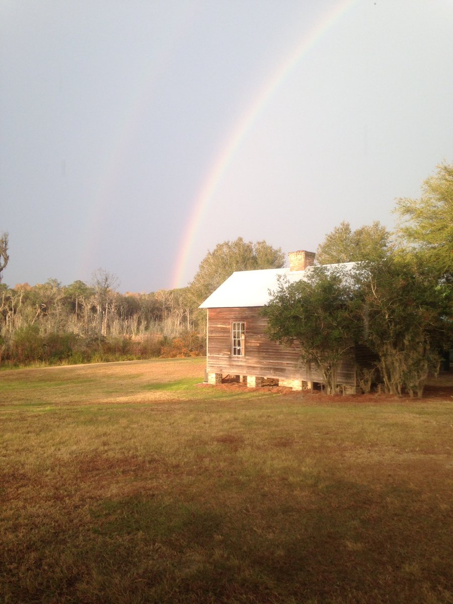thepinebluff's tweet image. Good Morning from #Broadfield @SeaIslandResort