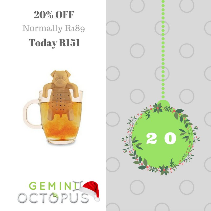 GeminiOctopus's tweet photo. Pug in a mug makes for a great Christmas present. Today we're giving you 20% off. (Was R189) #ChristmasCountdown https://t.co/a274gnacHM