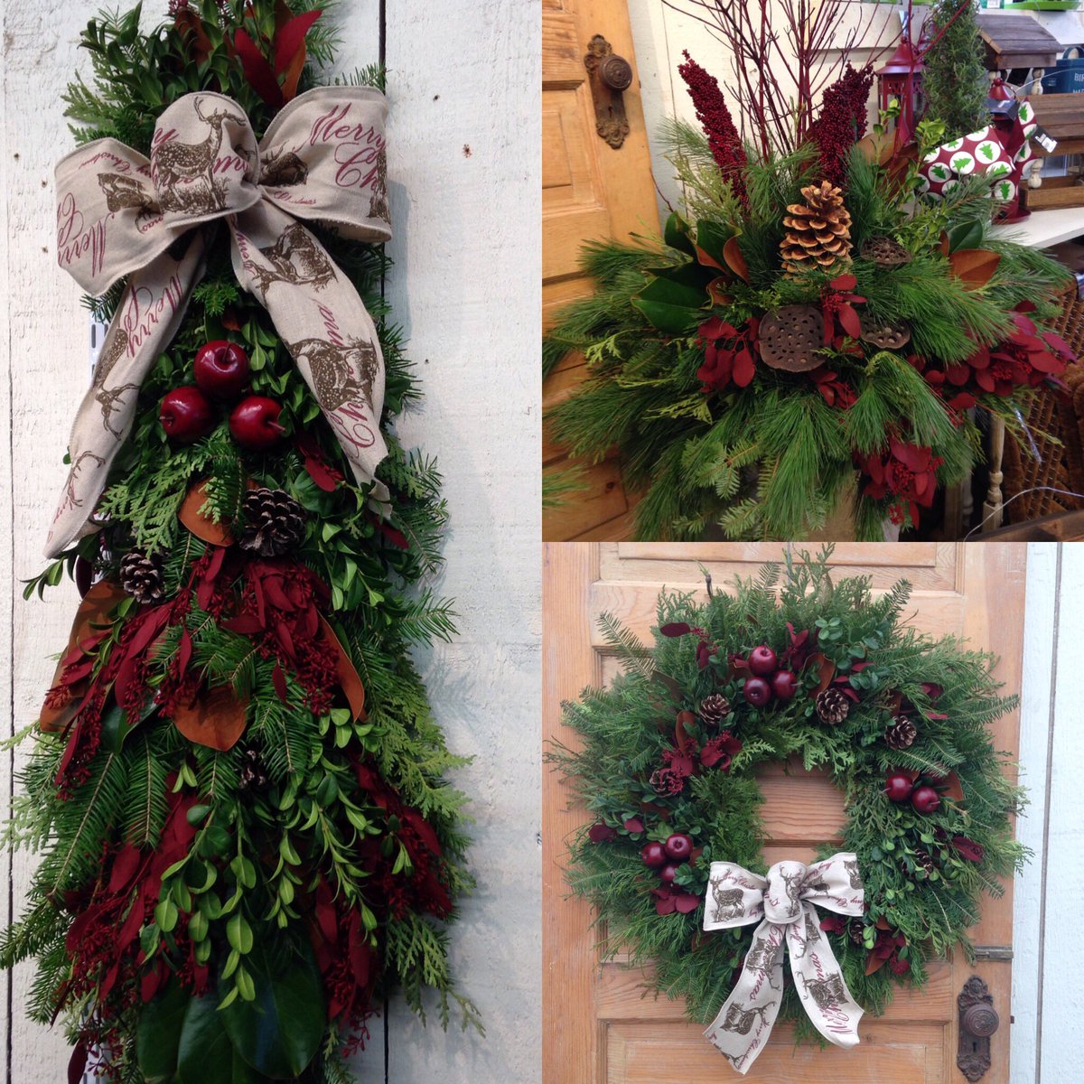 #appleofmyeye #newfav greenery designs for Christmas and Winter!