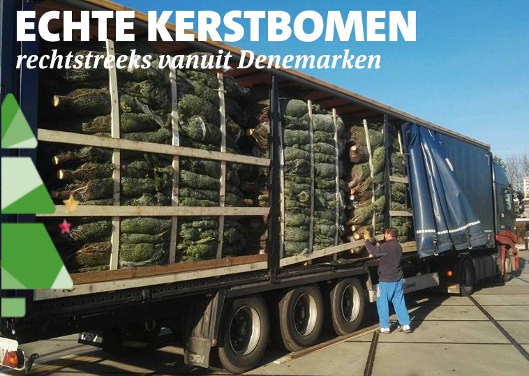 Nu de Sint naar Spanje is, kunnen de kerst inkopen echt beginnen! De echte kerstbomen zijn binnen, rechtstreeks vanuit Denemarken!