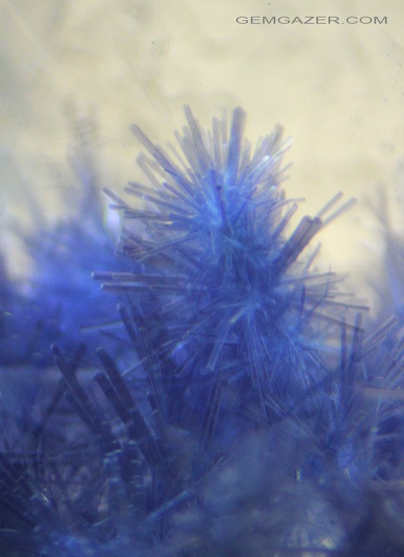 gemgazer's tweet photo. Dumortierite inclusions in #Quartz from Bahia, Brazil. https://t.co/0epIOFGM6a #gemInclusions #photomicrography #gemology https://t.co/0krr3DzkTd
