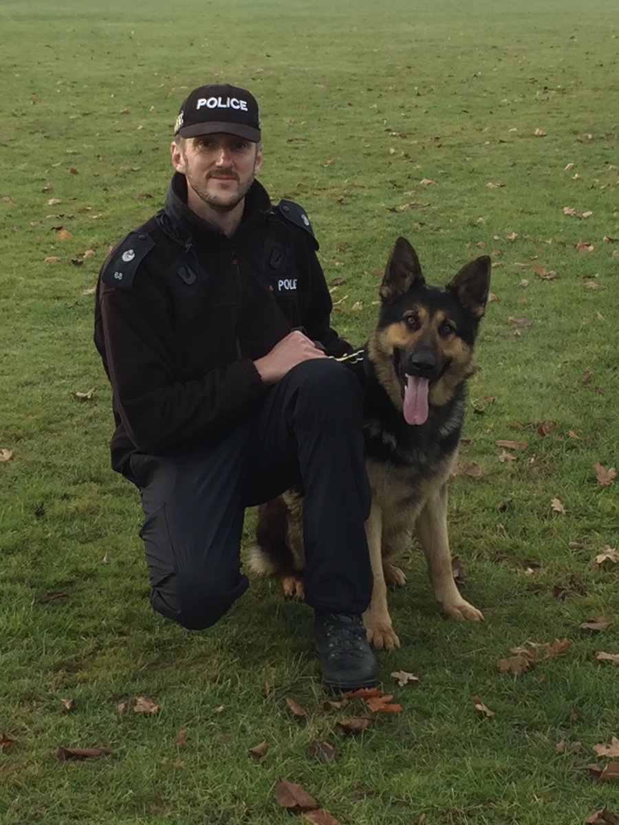 NSPoliceDogs's tweet photo. We've done it!! (L-R) PD's Harley, Rebel, Neeko & Jukie #GpInitial done & dusted, now the real journey begins. #HappyDays ๐๐ถ #68 https://t.co/ZlY9Gub2PM