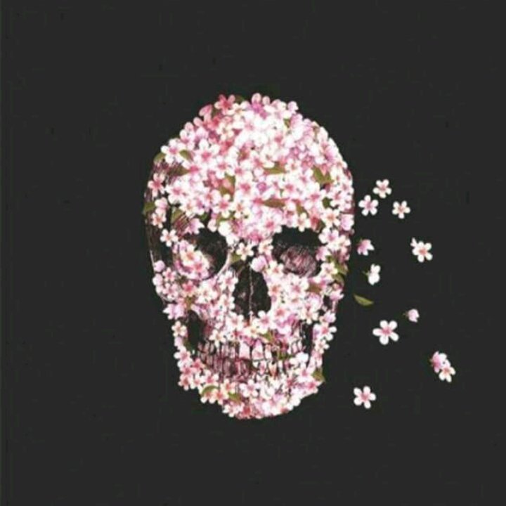 #صورة_ملف_شخصي_جديدة