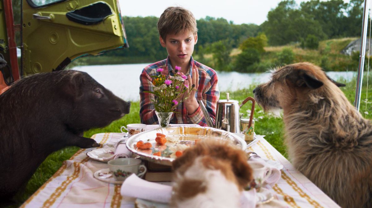 VPRO jeugd tweet media