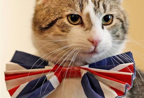 Number10cat's tweet image. Current Brexit strategy: