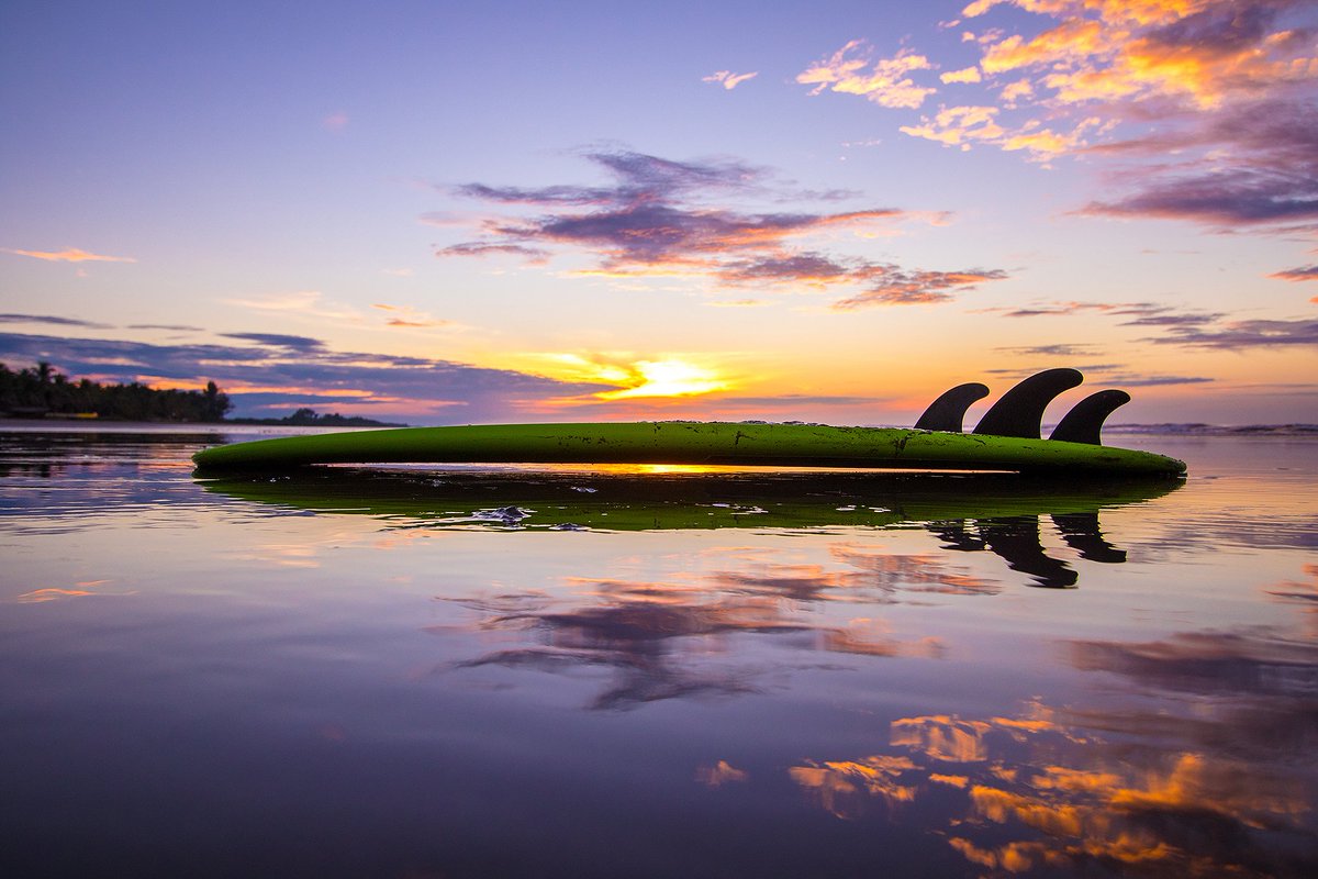 Triple X Surfboards tweet media