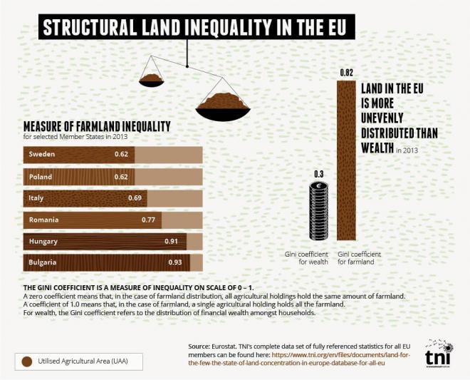 Andrea Paracchini tweet media