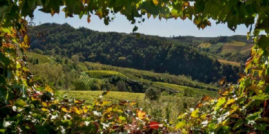 Agriturismo Il Ciliegio: #panorami mozzafiato nel cuore delle Langhe!  #Piemonte goo.gl/LpDX4p