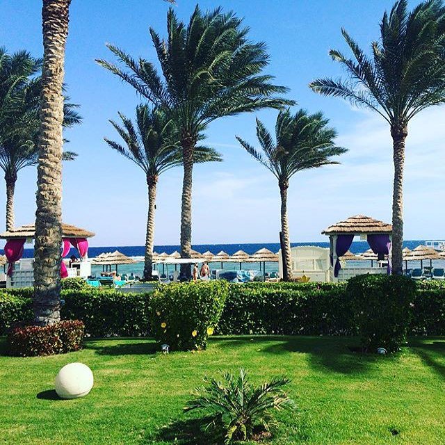 RixosSharm's tweet photo. Wishing you a great morning at Rixos Sharm El Sheikh #rixossharm #goodmorning #greatdays #enjoyinglife #holidays #sharmelsheikh #iloverixos https://t.co/JF5w7S0sz2