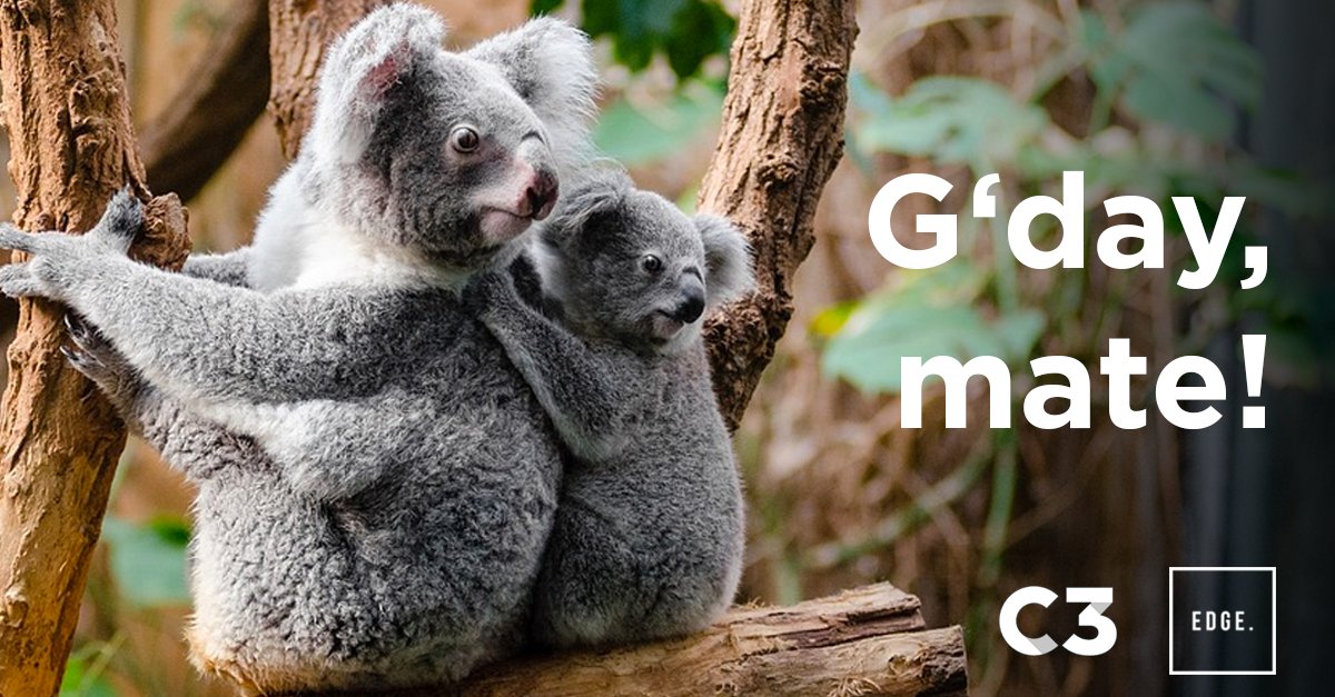 C3_content's tweet image. C3 &amp;amp; @SevenEC1 team up with @edgecustom! Alles über unsere neuen australischen Partner hier: bit.ly/2fLEePT #contentnetwork