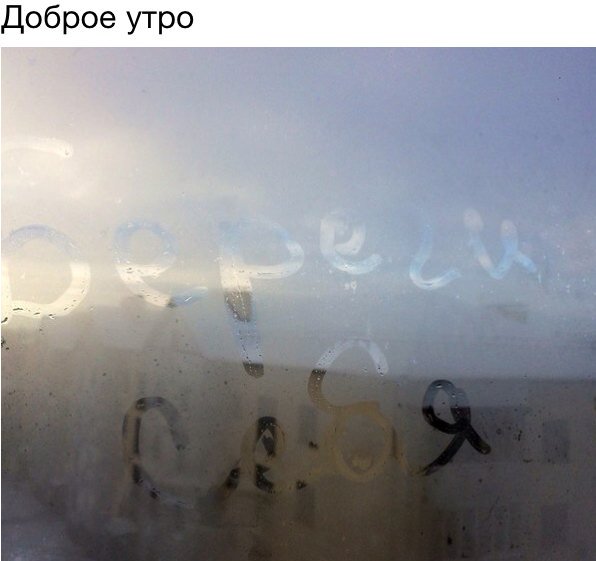 Sergeeeeva's tweet photo. Пожалуй самое доброе ) https://t.co/qaF6rvGzjh