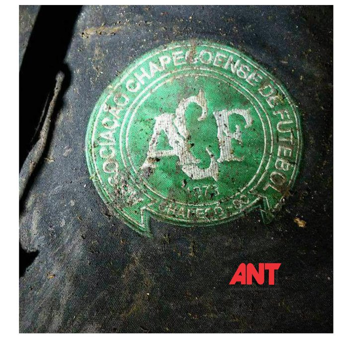 Προβολή εικόνας στο Twitter