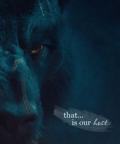 TheSkinChanger's tweet image. #Beorn ||Seeking SLs and fellow #Tolkien writers to interact with. The more descriptive, the better.||