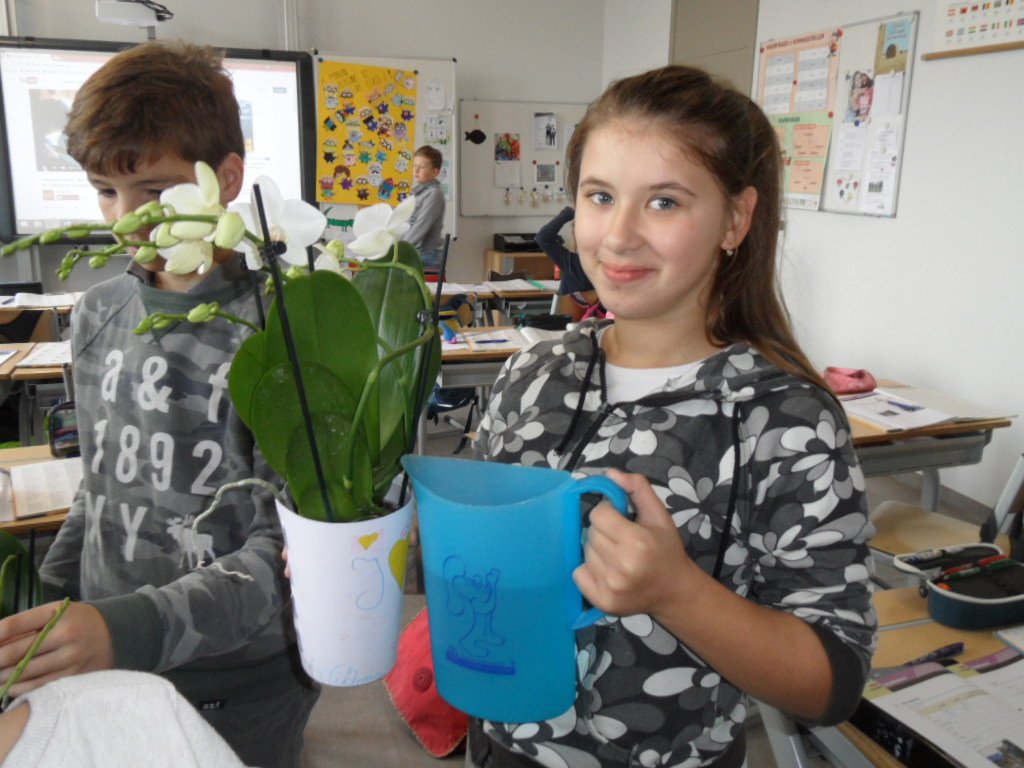 TerLaakOrchids's tweet photo. Mede dankzij het watergeefsysteem @Undrcover_NL staan de Yourchids in bloei! Met de groene vingers zit het wel goed in Lanaken @TC_Meijers. https://t.co/eON4PdOMca
