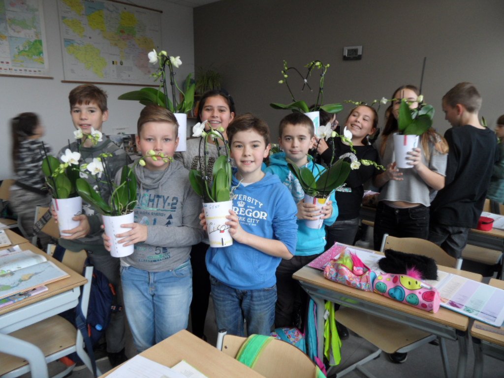 TerLaakOrchids's tweet photo. Mede dankzij het watergeefsysteem @Undrcover_NL staan de Yourchids in bloei! Met de groene vingers zit het wel goed in Lanaken @TC_Meijers. https://t.co/eON4PdOMca