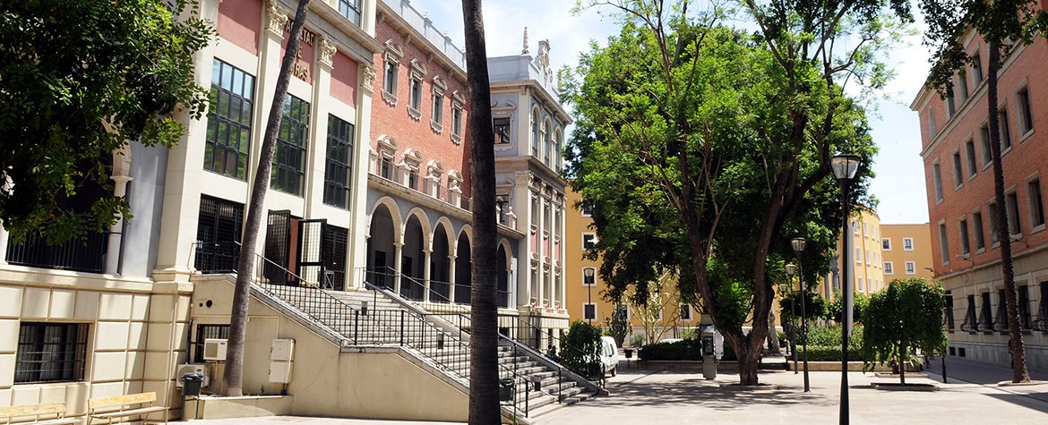 Universidad Murcia tweet media
