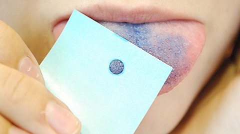 BBC_Teach's tweet photo. Are you a supertaster? Explore #TerrificScientific investigations, teaching resources and activity plans for 9-11s: https://t.co/mq66HwEhL8 https://t.co/1meTN5KxiY