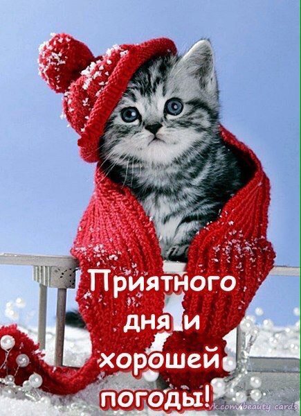 marimiss91 tweet picture