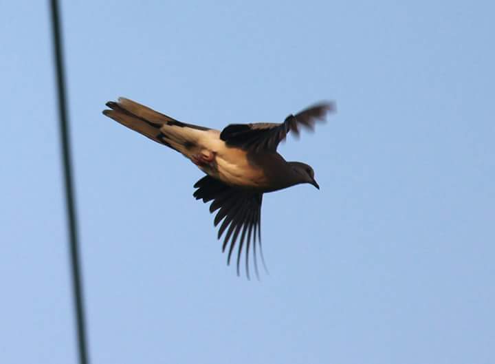 sambodhisays's tweet image. #Learn as much as you can, collect #knowledge from everywhere and spread your wings to #achieve the greatest of heights. #Knowledgeispower