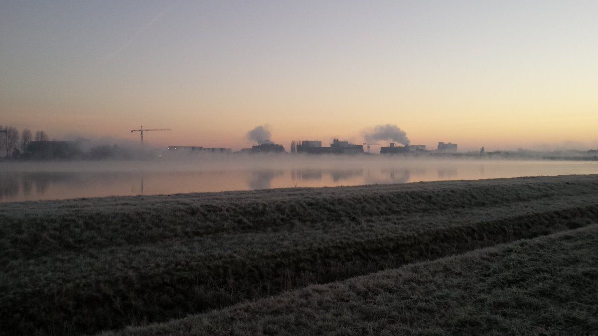 Avebe Foxhol lag er prachtig bij vanochtend! @AVEBEGroup