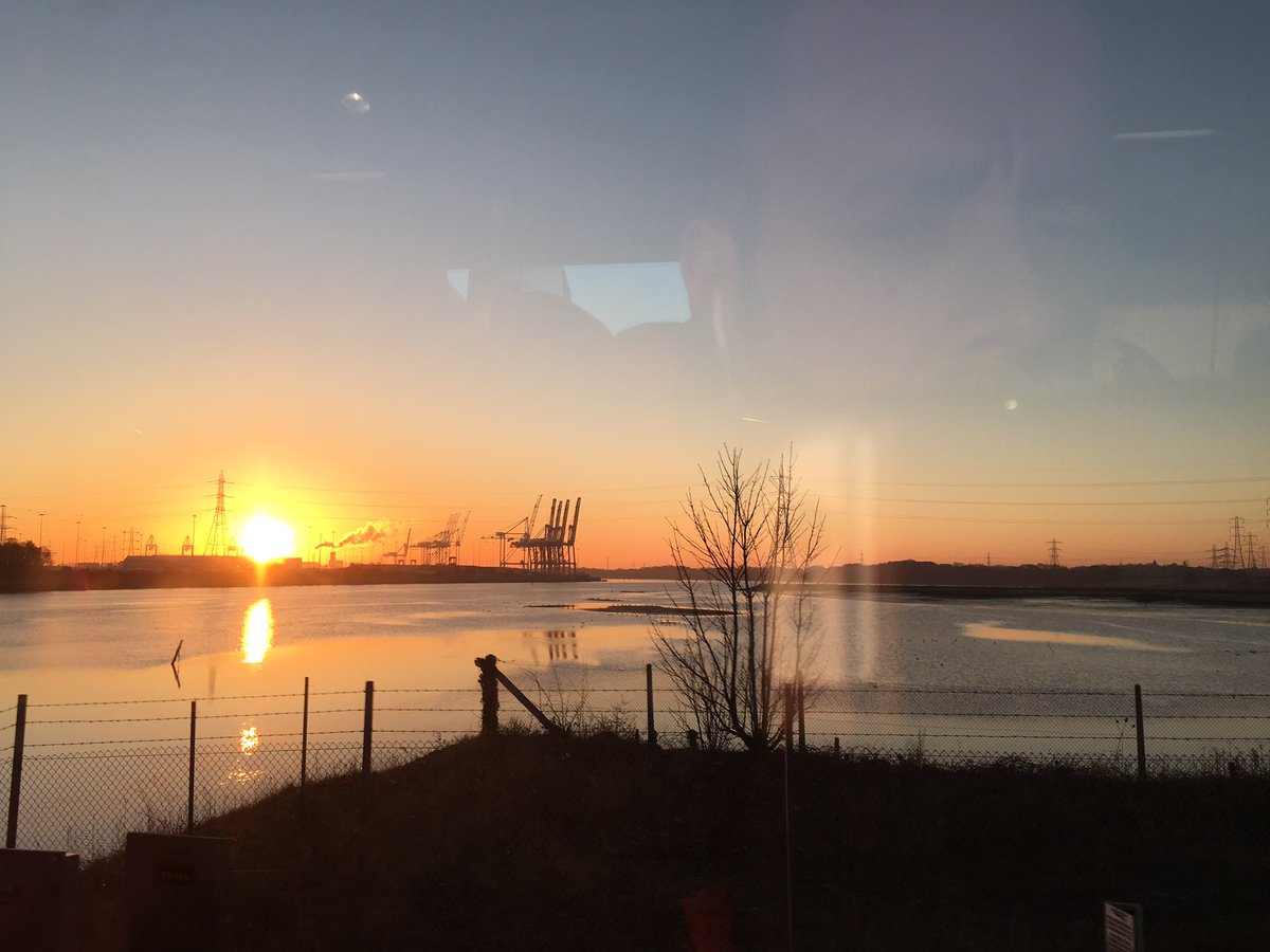 Rob Scott tweet media