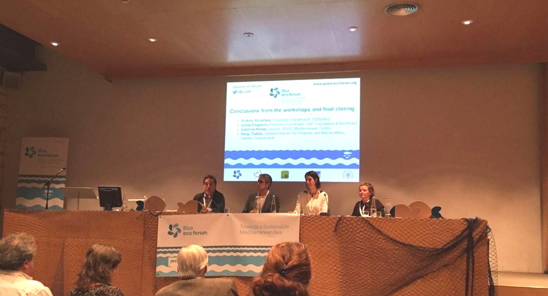 ENTmediambient's tweet photo. Blue Eco Fórum | Expertos abogan por una mayor #cooperación y gestión para preservar el #Mediterráneo https://t.co/nDahlgYsQQ #BlueEF https://t.co/SHZju8tMeo