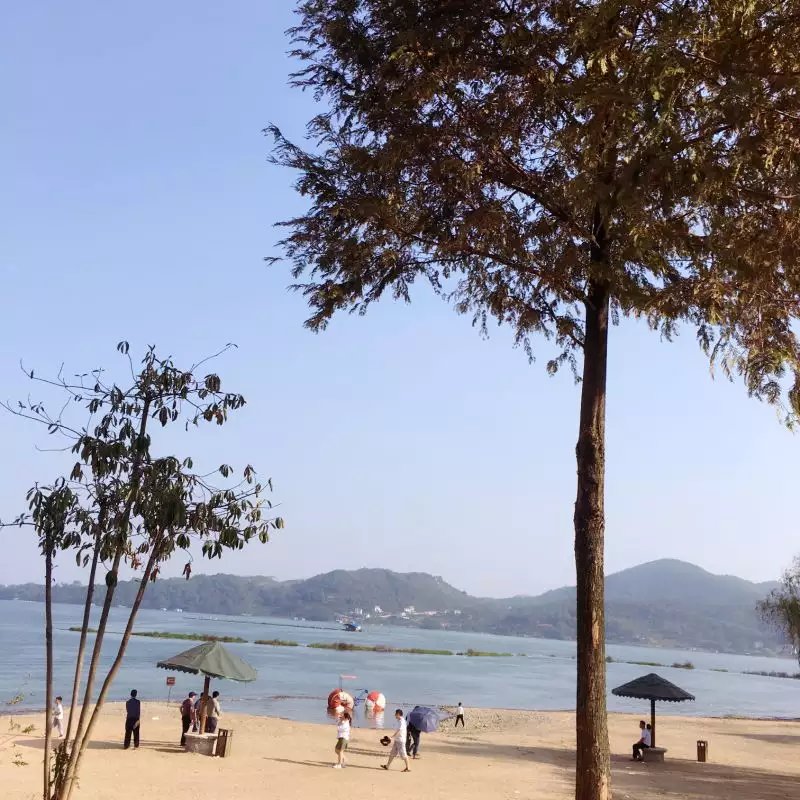 domhaha's tweet photo. good day~ https://t.co/2qLKWotMos