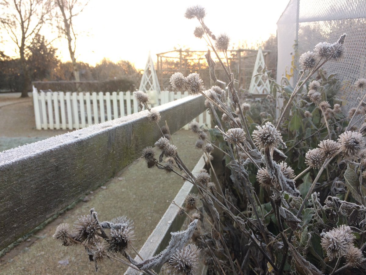 gardenorganicuk's tweet photo. Good morning from a chilly but beautiful Ryton Organic Gardens! #frost #organicgarden #rytongardens #winter https://t.co/uKisFI4Vwg