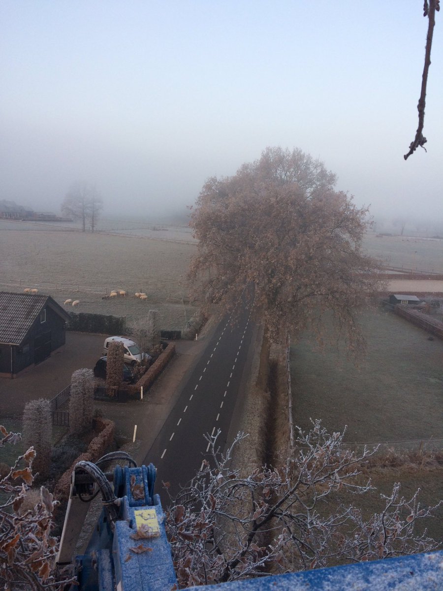 LBoomService's tweet image. Het begin van een mooie dag...
#snoeien #langsdeweg #herfst #klarenbeek