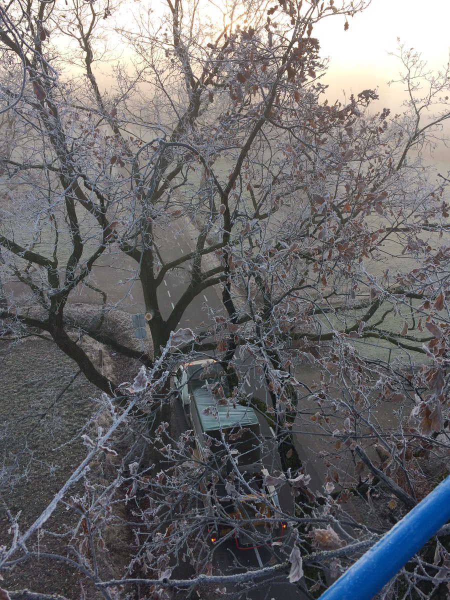 LBoomService's tweet image. Het begin van een mooie dag...
#snoeien #langsdeweg #herfst #klarenbeek