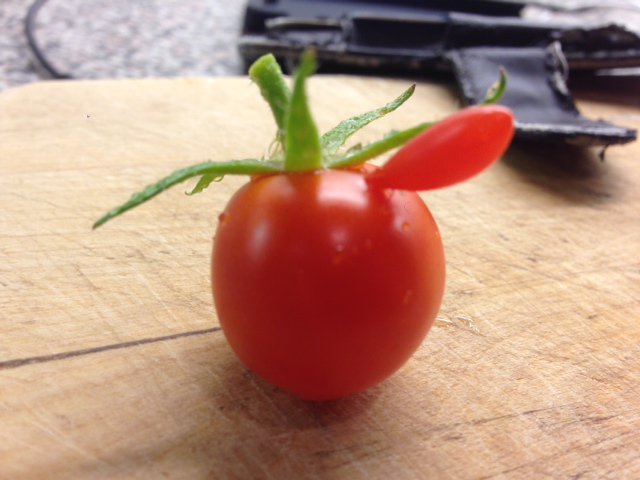 CarrotTops1's tweet photo. @growit_uk #AndyCap ? :) https://t.co/kJYbJc389T