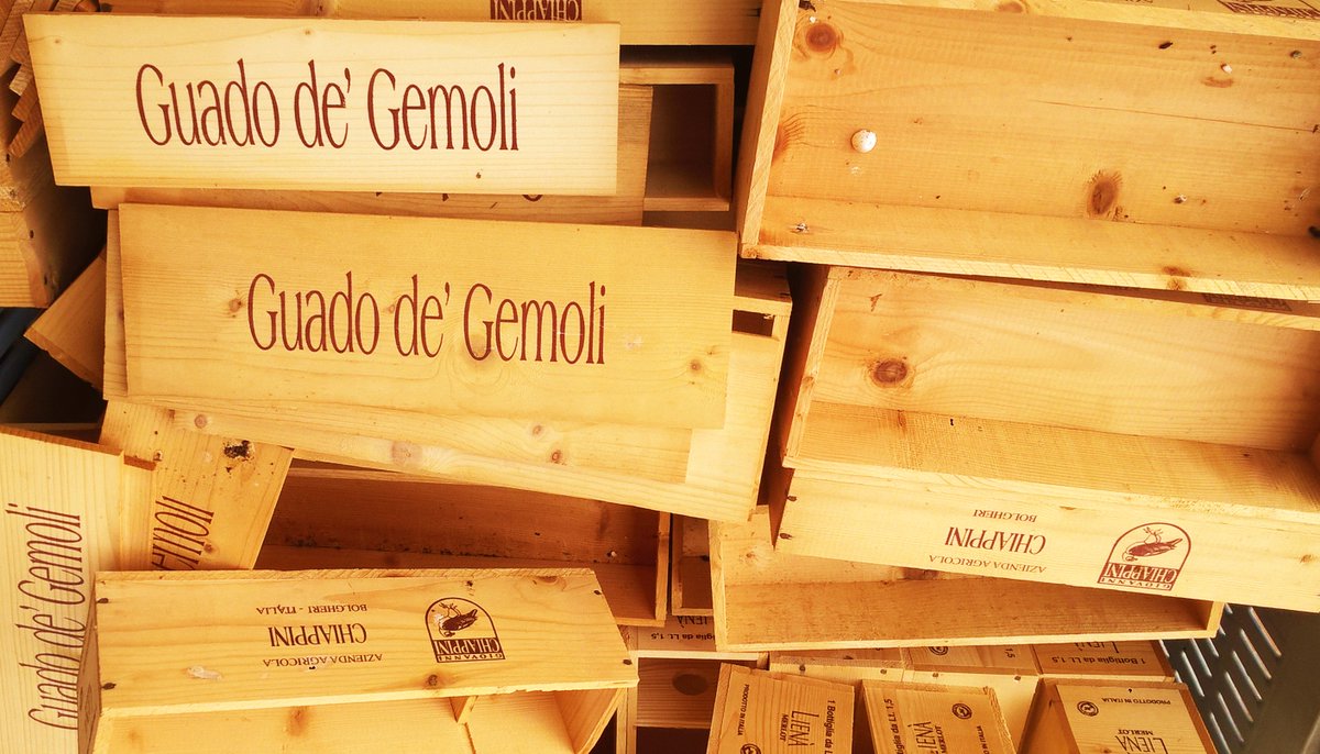 chiappiniwinery's tweet photo. #guadodegemoli come se piovesse. #chiappini #bolgheri #toscana https://t.co/mbYHJkYaHy