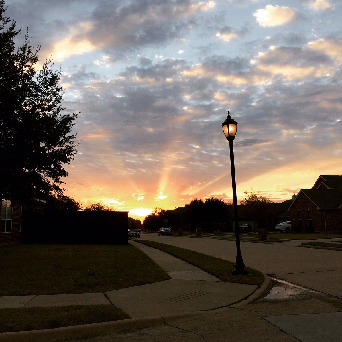 PeterBrunone's tweet photo. A new day, with no mistakes in it. #beauty #see https://t.co/9o7LL1afHQ