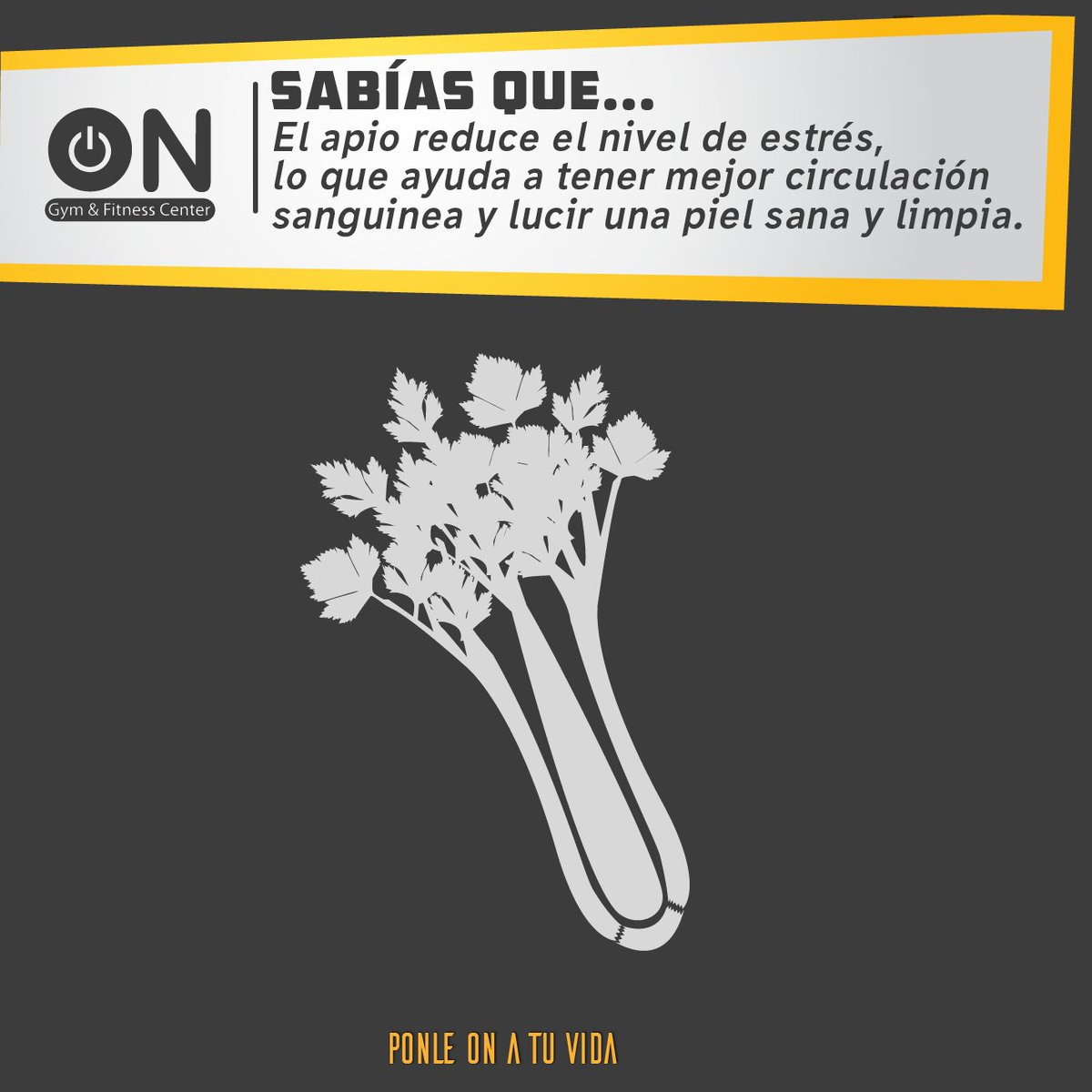 ONGYMXALAPA's tweet photo. #Sabiasque consumir apio es una gran manera de proporcionar a tu cuerpo con nutrientes vitales,vitaminas y minerales. #Ongym #fitness https://t.co/yTTZELFat9