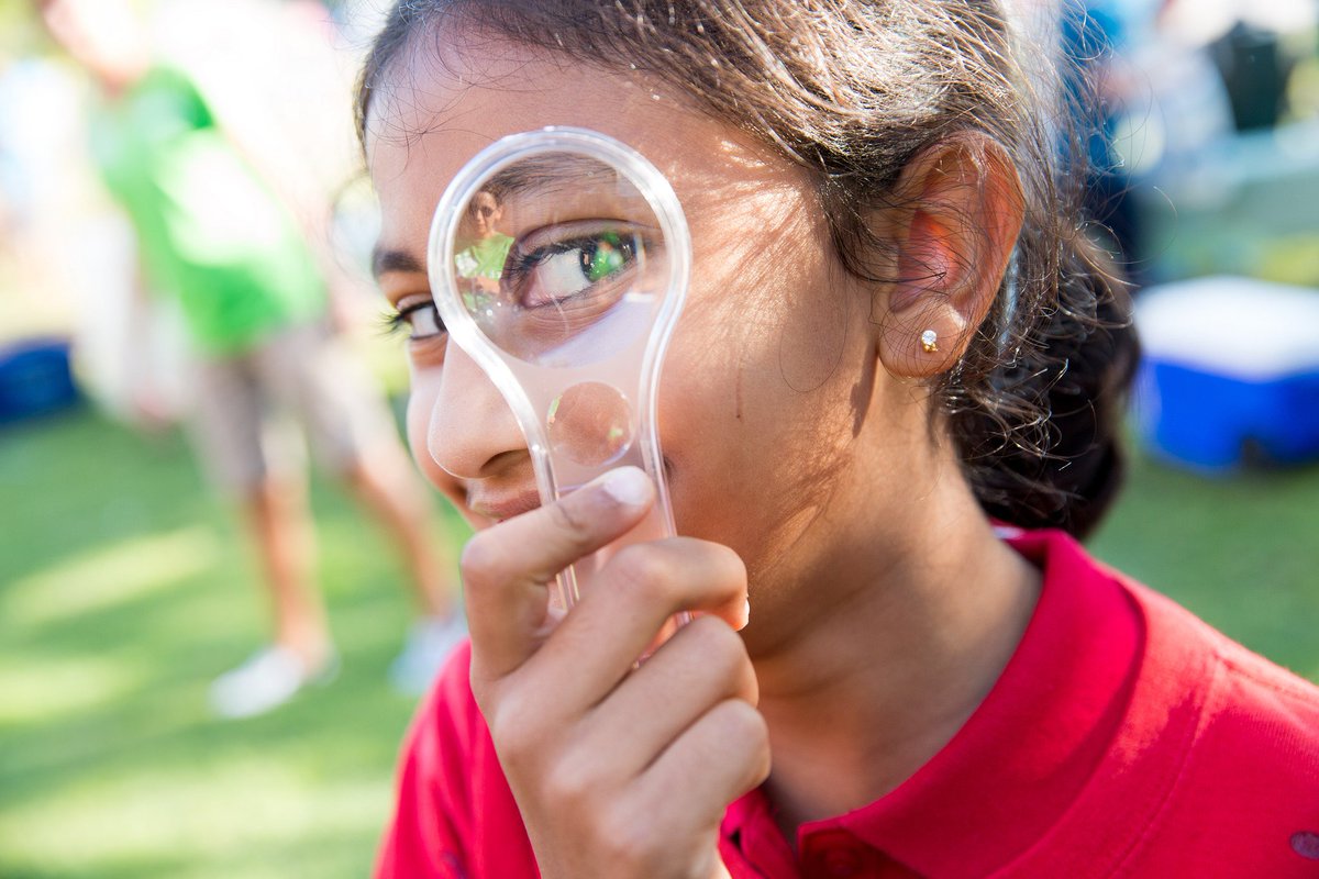 REAL School Gardens tweet media