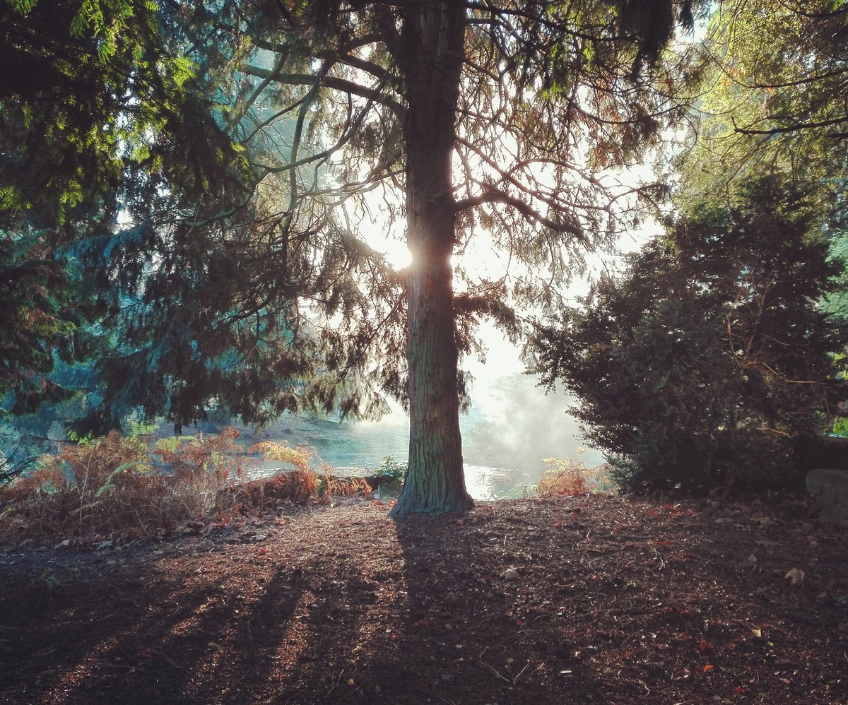 maccheroni90's tweet image. Morning light at the @UniofNottingham 

instagram.com/p/BNY6PRGhEas/