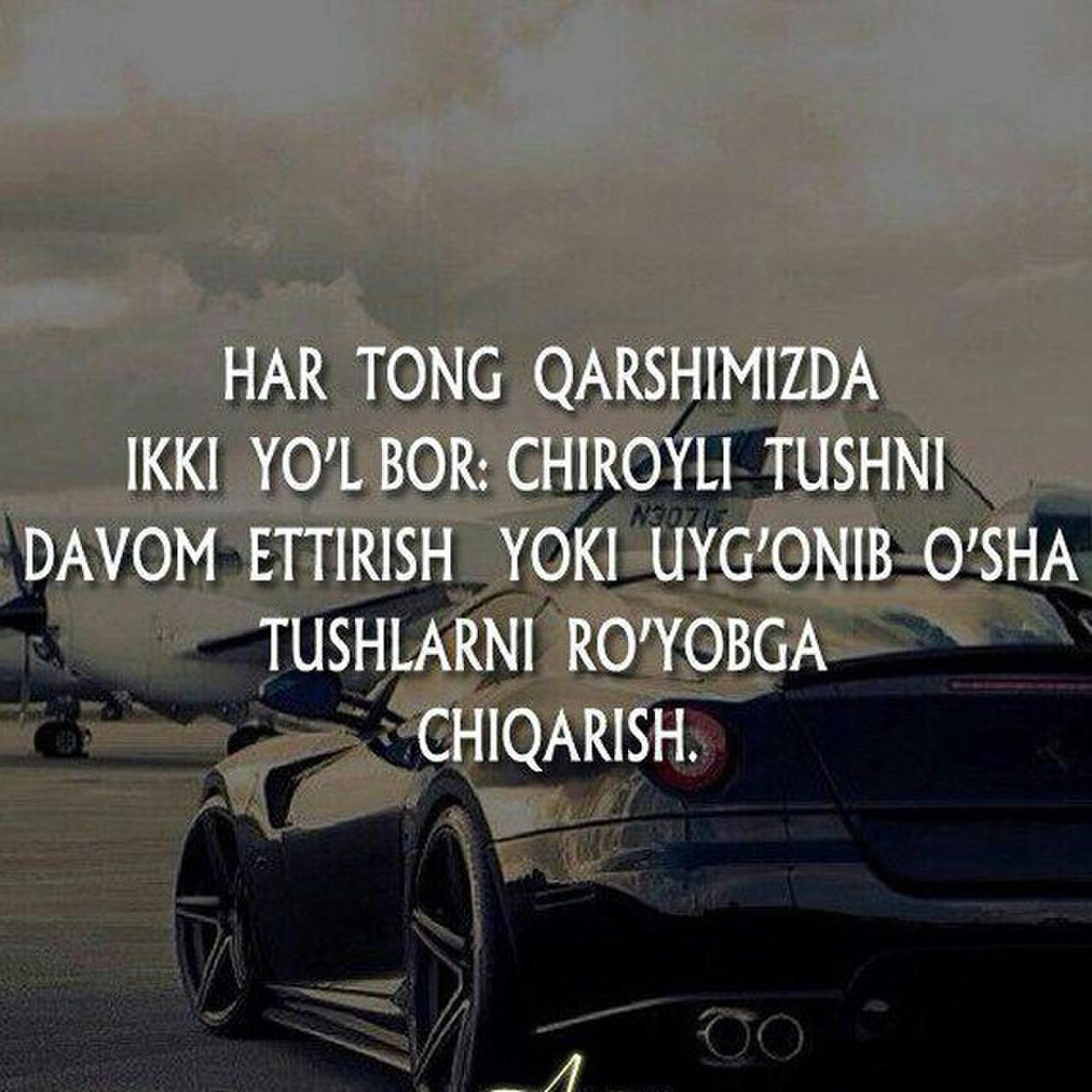 Тонг шерлар