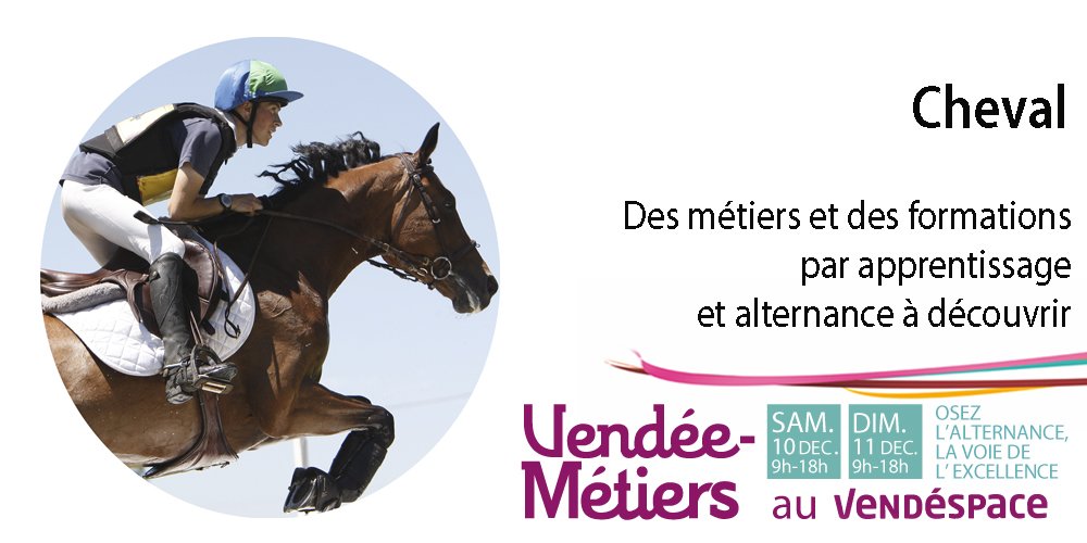 vendeemetiers's tweet photo. Rendez-vous à #Vendée-Métiers, les 10 et 11 déc de 9hà18h. Informations et inscriptions sur https://t.co/iniR7IkUkH. #Alternance #VM2016 https://t.co/BxwxeiSq1X