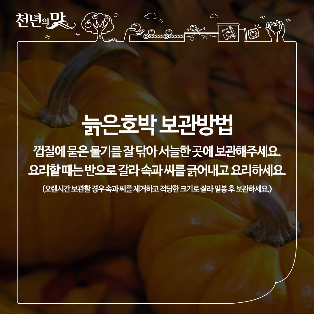 겨울철 든든한 식량이었던 늙은호박은
산후 부기 제거에 효능이 뛰어나며
베로카로틴이 풍부해 면역력을 높여줍니다.