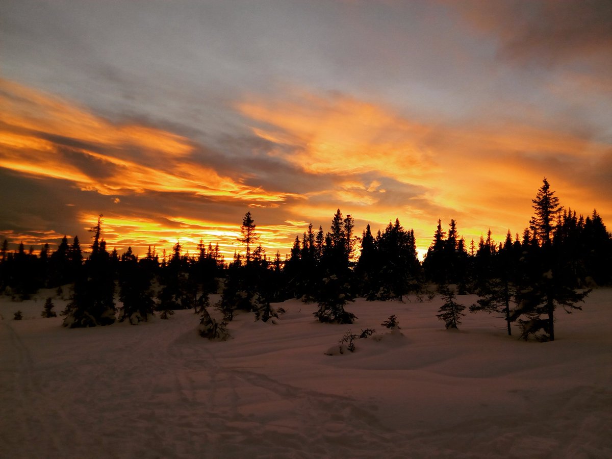 Noruega, el cielo infinito
#guiamostussueños